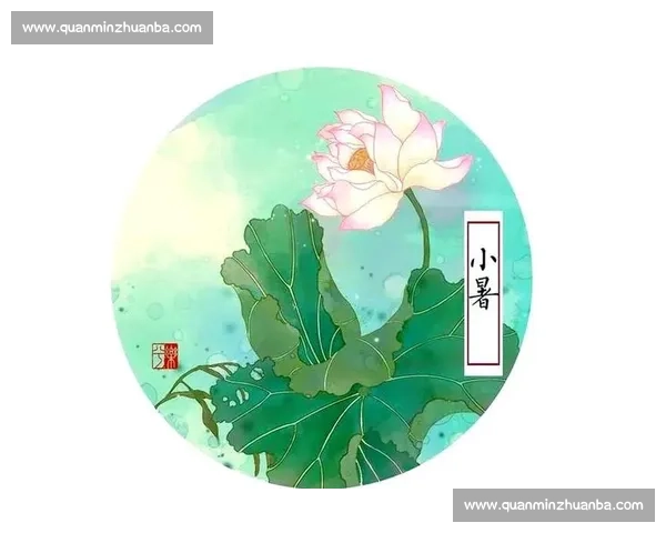 塑形训练全方位指南助力身体线条雕刻与健康提升